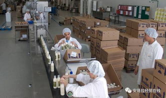 投資1000萬美元的化妝品加工廠在安開業(yè)，引領(lǐng)本土美妝產(chǎn)業(yè)新格局